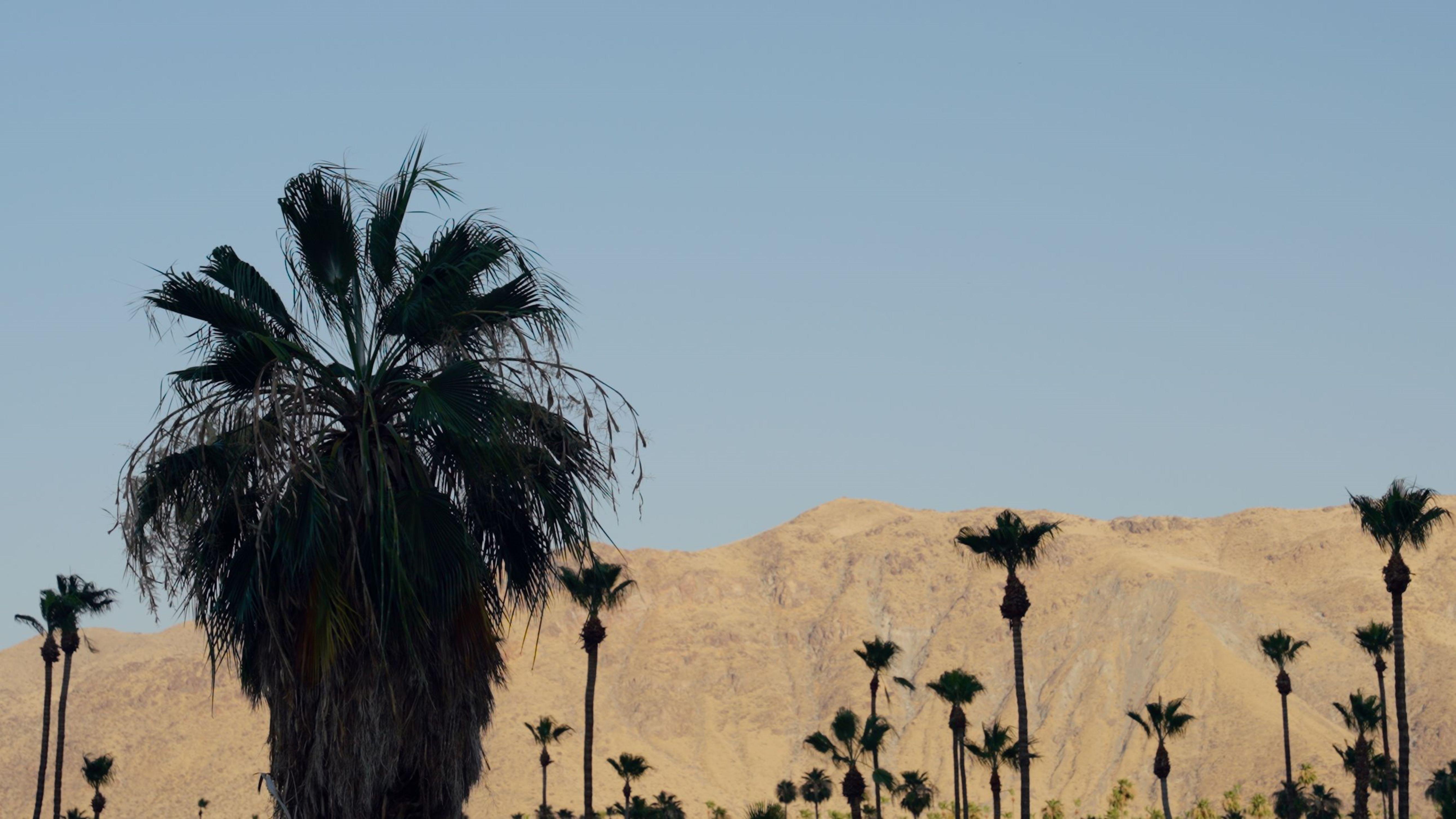 Royal Sun Palm Springs Hotel Kültér fotó